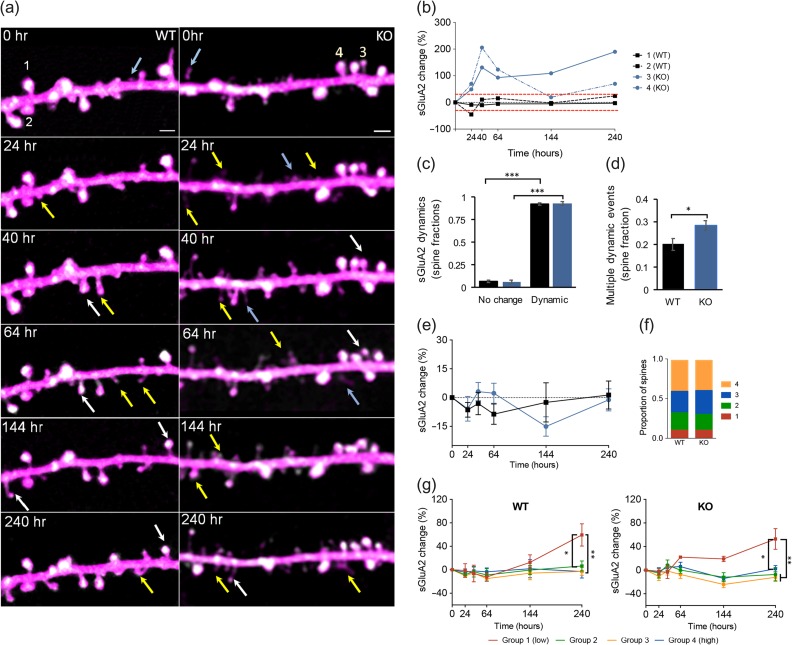 Figure 4.