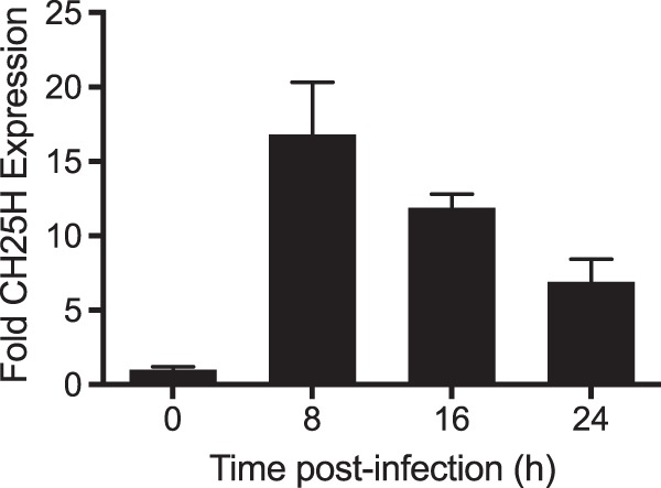 FIG 3