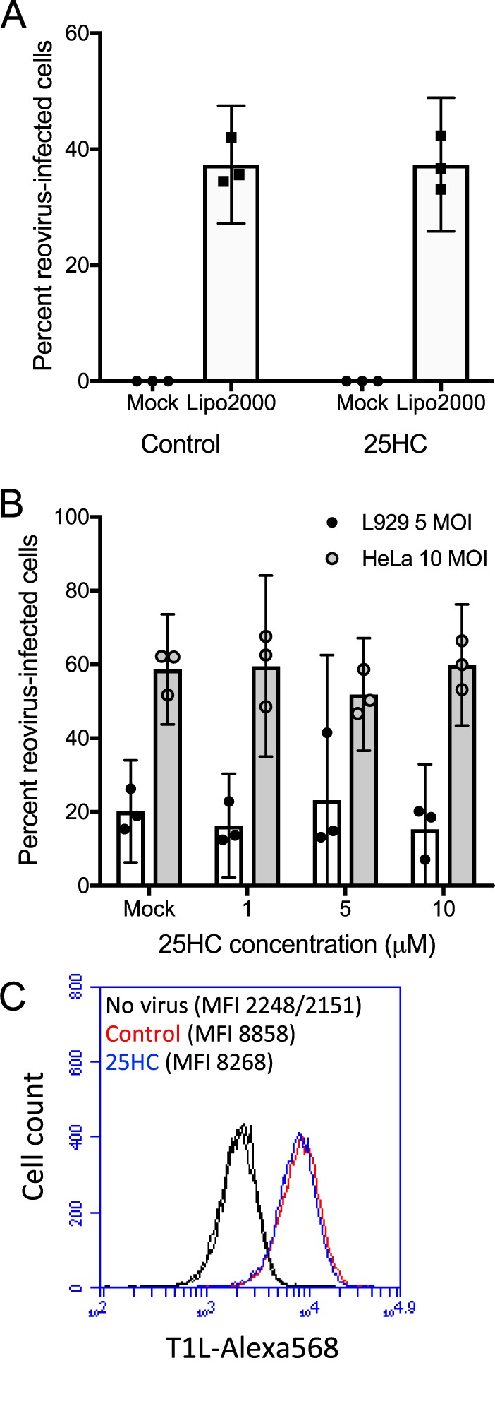 FIG 6