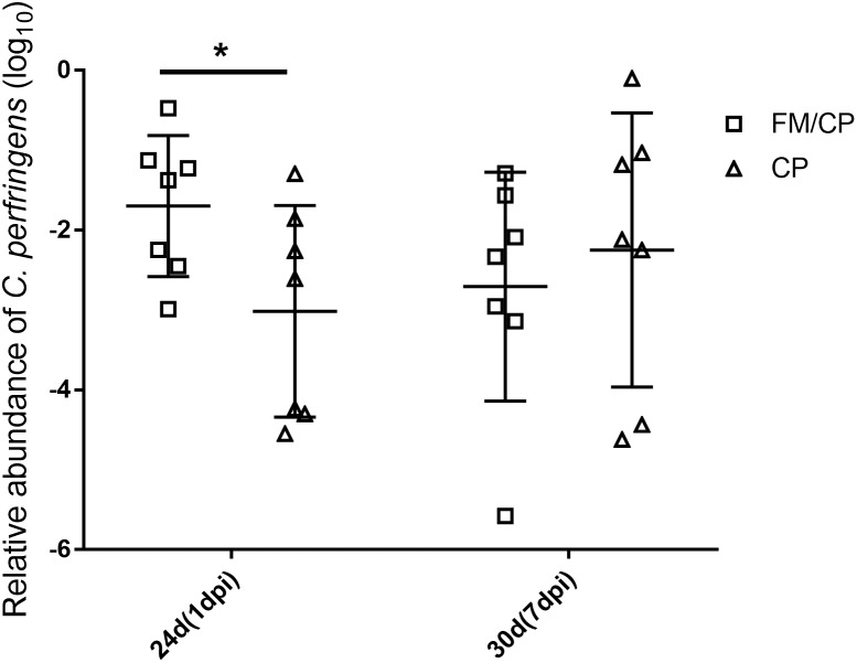 FIGURE 3