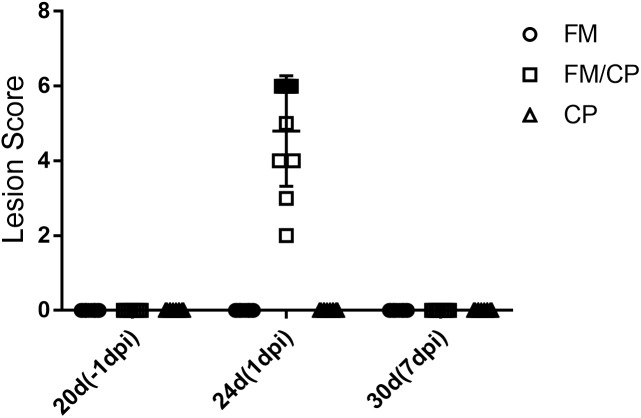 FIGURE 2