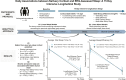 Graphical Abstract