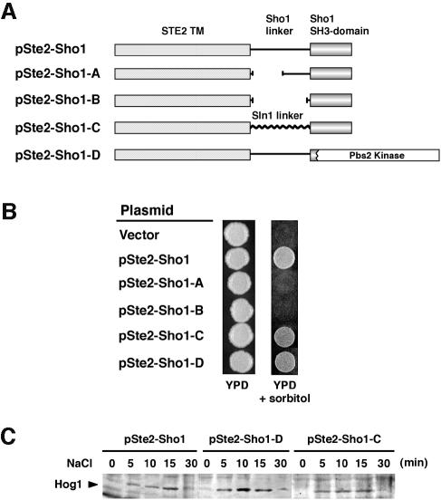 graphic file with name cdd464f4.jpg