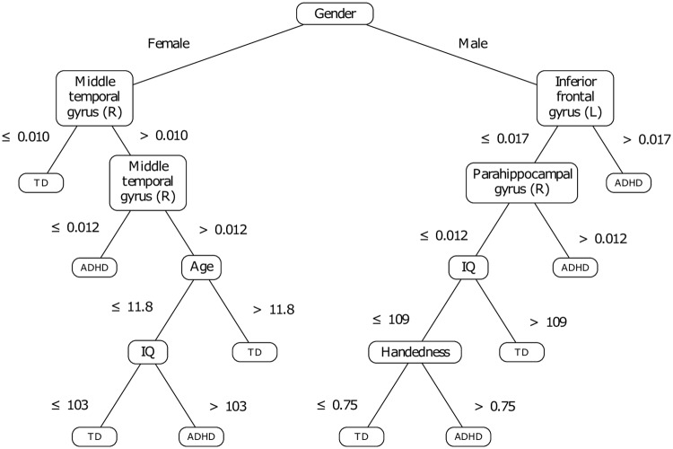 Fig 6