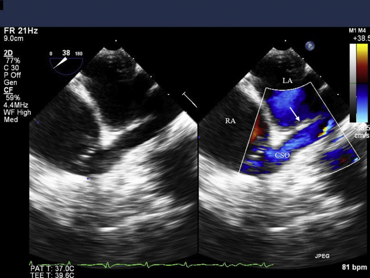 Figure 7