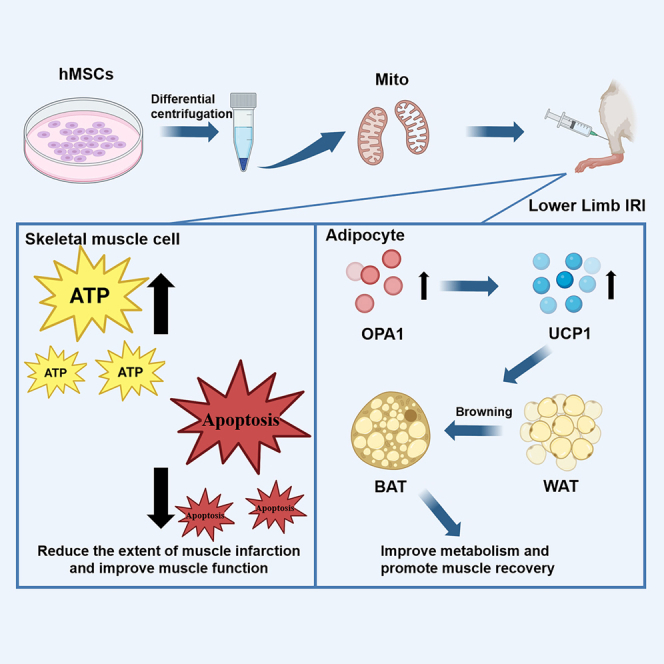 graphic file with name fx1.jpg