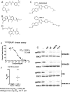 Figure S1