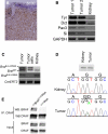 Figure 6