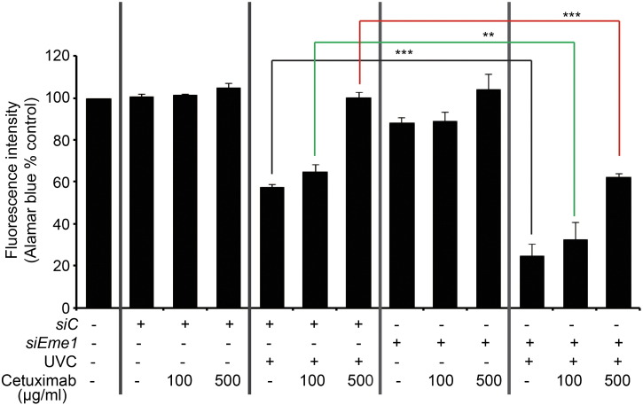 Figure 6