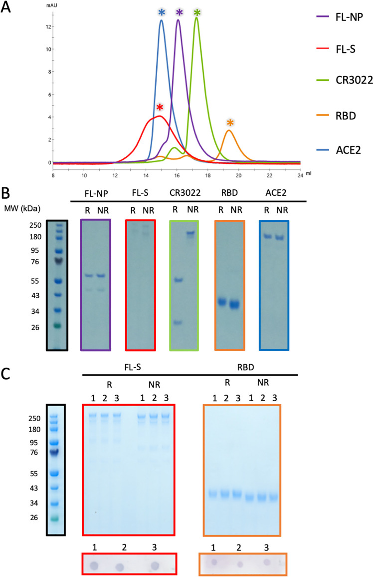 FIG 1