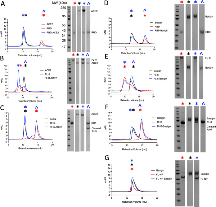 FIG 2