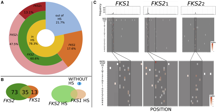 Figure 3