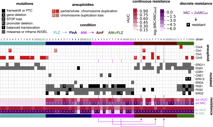 Figure 6