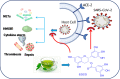 Image, graphical abstract