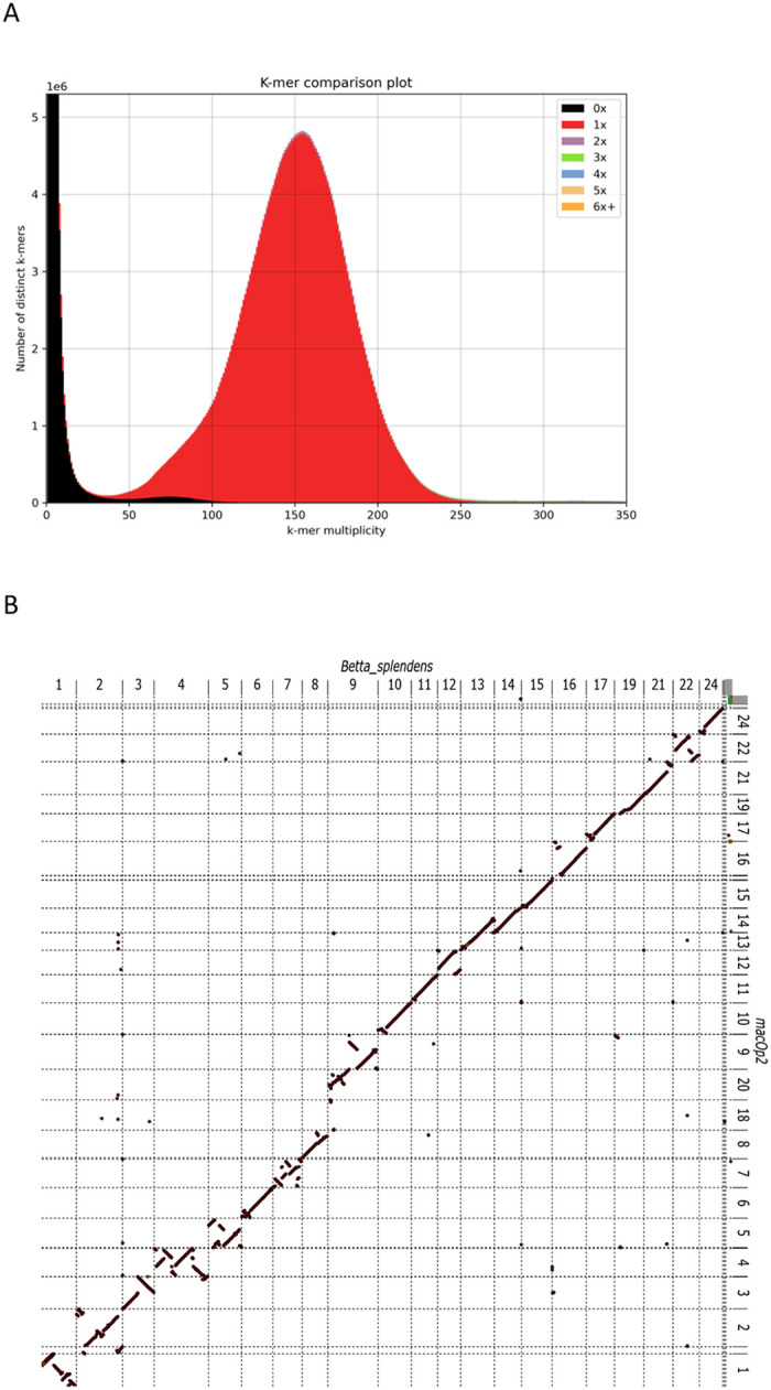 Figure 1: