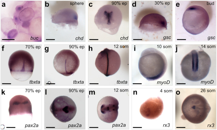 Figure 3: