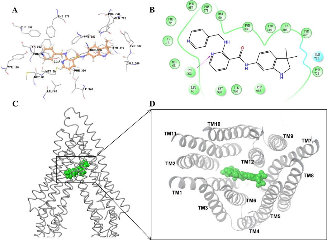 Figure 5