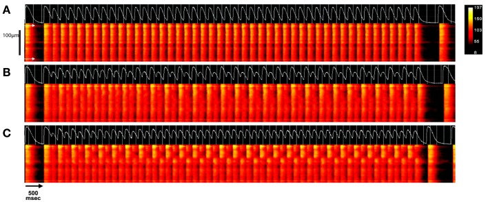 Figure 11