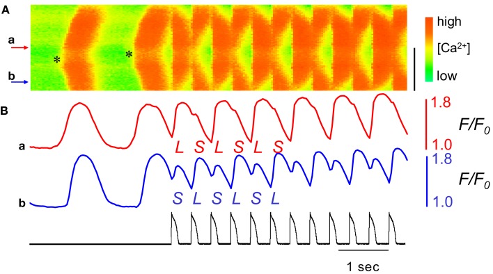 Figure 12