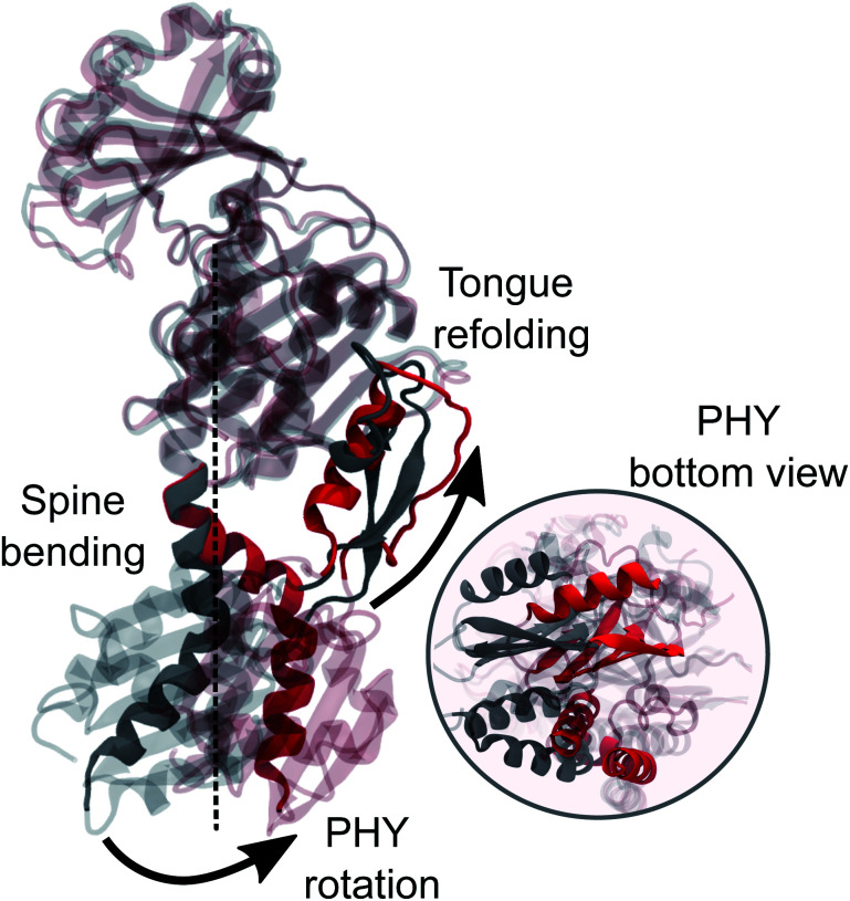 Fig. 6