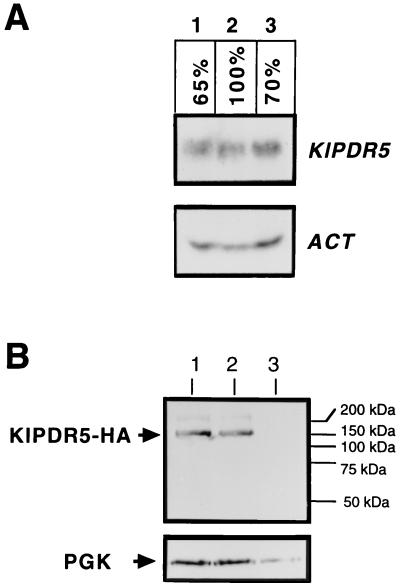 FIG. 6