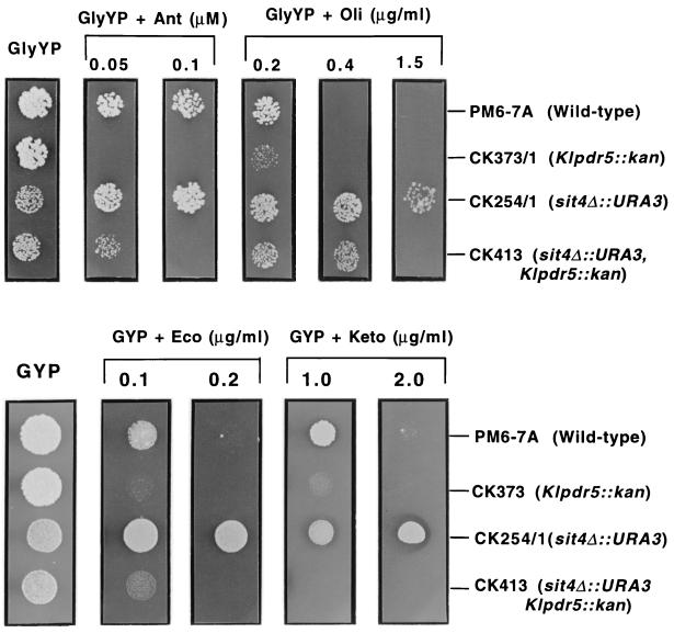 FIG. 3