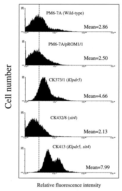 FIG. 4