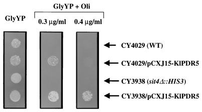 FIG. 7