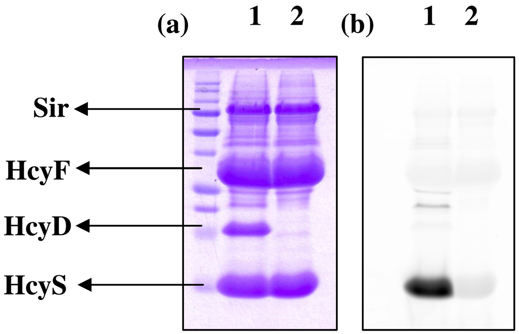 Figure 9