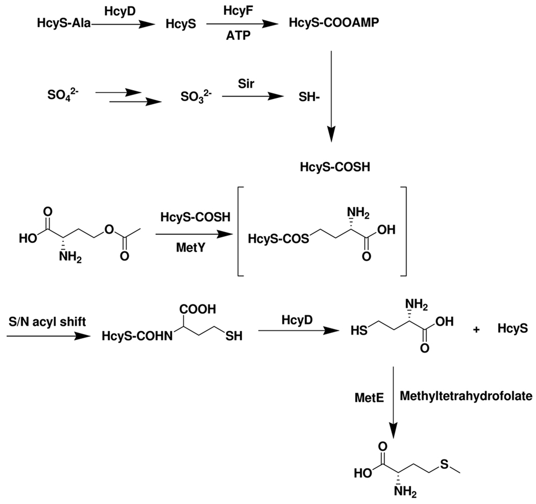 Figure 14