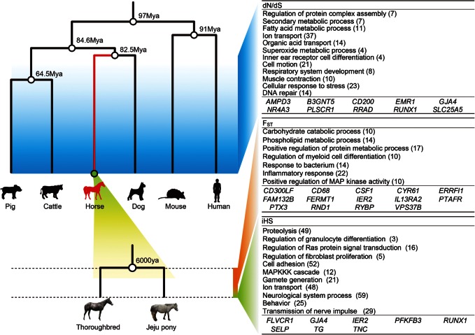 Figure 4.