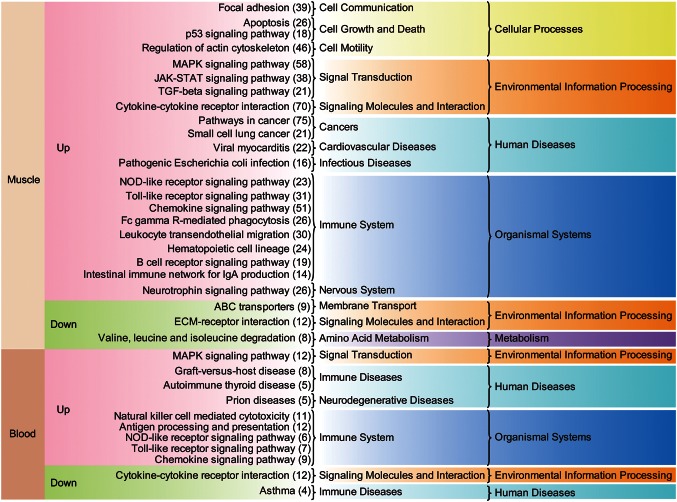 Figure 2.