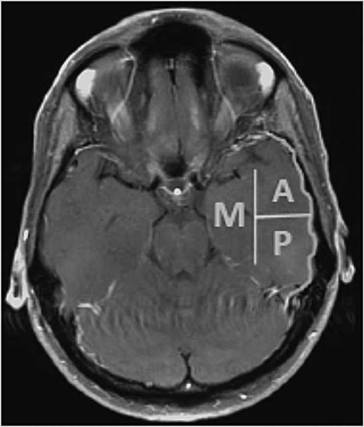 Fig. 1.