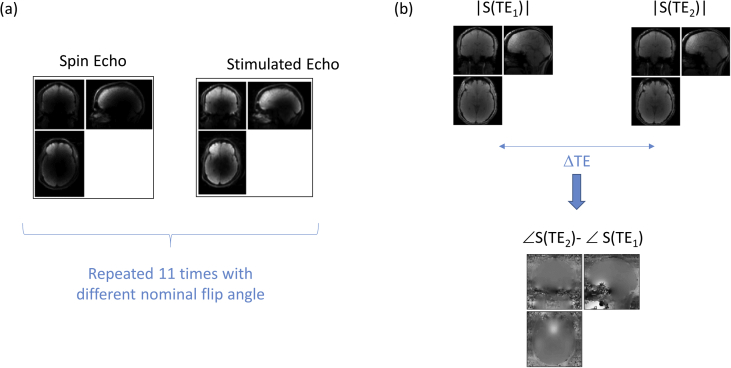 Fig. 1