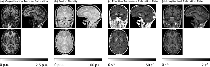 Fig. 3