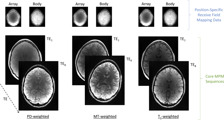 Fig. 2