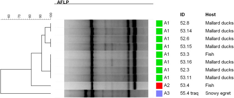 Figure 9.