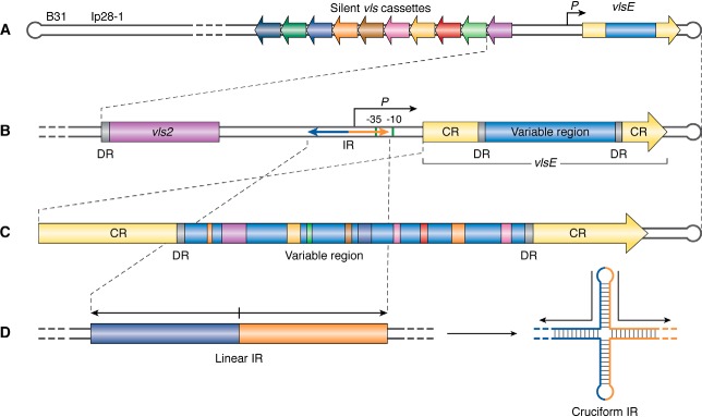 Figure 2.