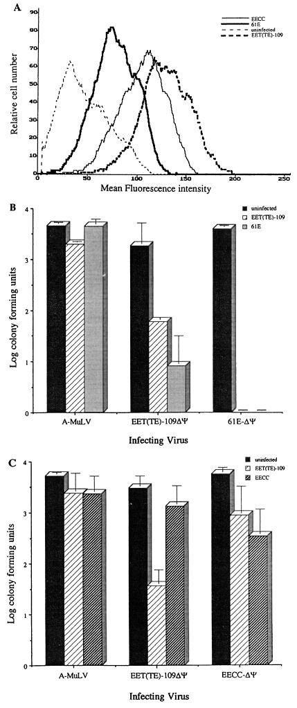 FIG. 6