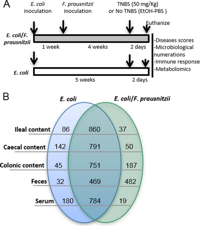 FIG 2 