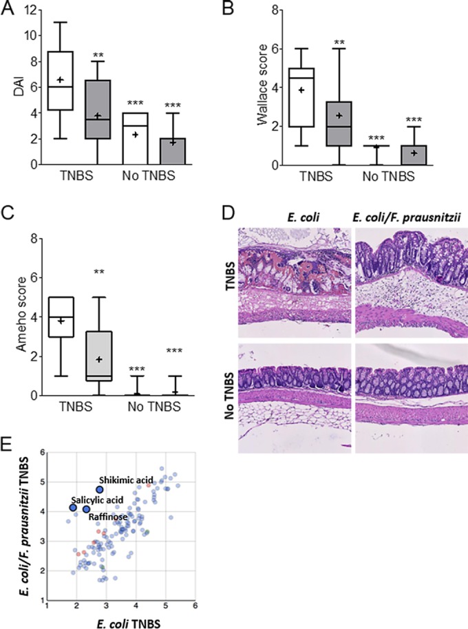 FIG 3 