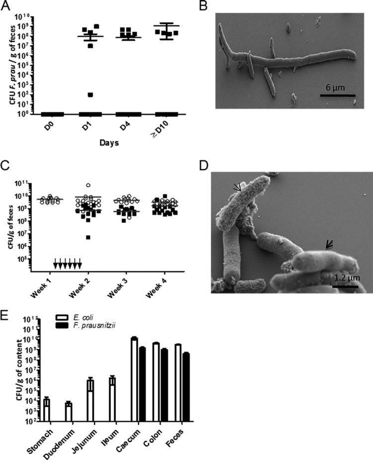 FIG 1 