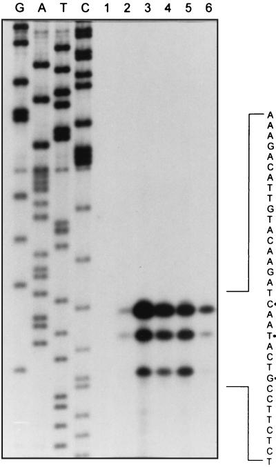 FIG. 6