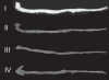 Figure 3)