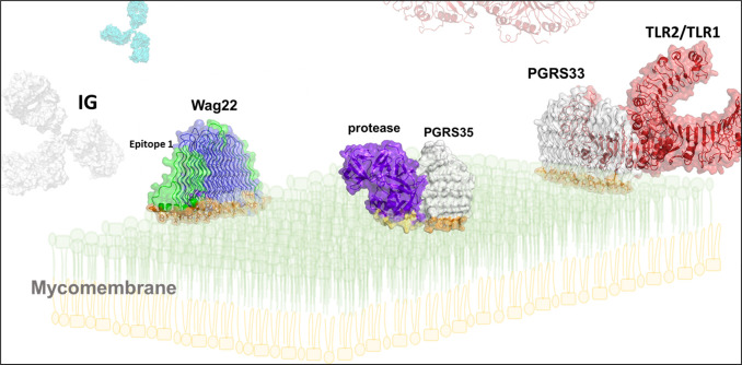 Fig 2