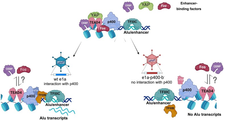 Graphical Abstract