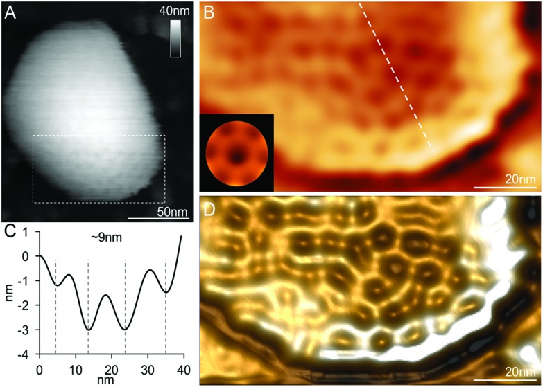 Fig. 3