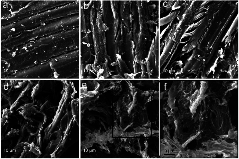 Fig. 10