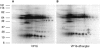 FIG. 8.