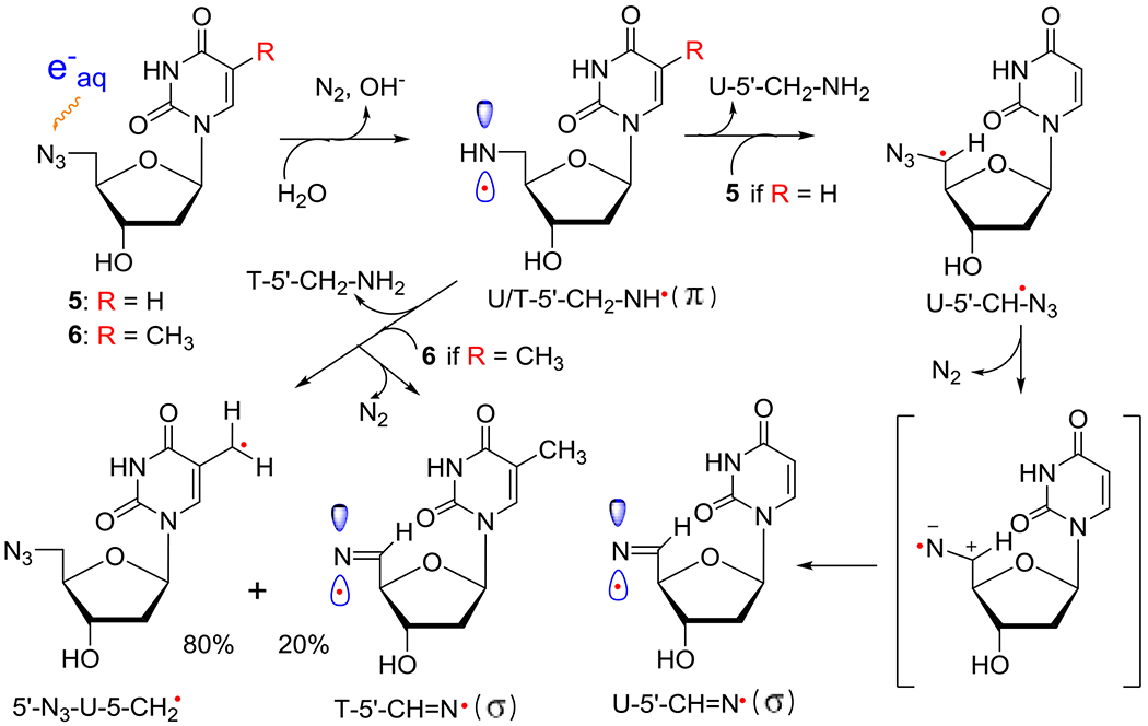 Scheme 4.